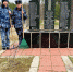 Сотрудники исправительной колонии облагородили братское захоронение в Себежском районе - Pln-Pskov.Ru