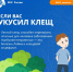 #МЧСПсков предупреждает: осторожно, клещи! - МЧС Псковской области