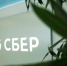 Псковский предприниматель поделился опытом формирования портфеля под управлением в Сбере - Pln-Pskov.Ru