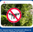 Запрет на использование гражданских БПЛА в Псковской области                      - Комитет по строительству и ЖКХ