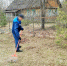 Осужденные в Псковской области принимают участие в благоустройстве городских территорий - Pln-Pskov.Ru