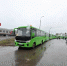 Более 400 детей из Белгородской области приехали в псковский регион - Pln-Pskov.Ru