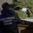 Пскович заподозрил собутыльницу в краже обреза и забил ее до смерти - Pln-Pskov.Ru