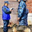 Начальник кинологического отделения СИЗО-1 стала почетным судьей соревнований по многоборью среди специалистов-кинологов со служебными собаками - УФСИН