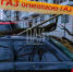 Упавшее дерево повредило автомобиль и газопровод в Пскове - InformPskov.Ru