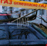 На Октябрьском проспекте в Пскове старые тополя заменят на деревья других пород - InformPskov.Ru