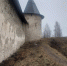 1 - Псковская епархия