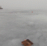 Мужчину будут судить в Гдове за случайное убийство рыбака на Чудском озере - Pln-Pskov.Ru