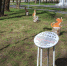«Кошкин городок» - InformPskov.Ru