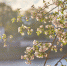 Фото: ПАИ - InformPskov.Ru