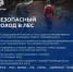 "Ау, ау, ау... Я из леса по советам МЧС России всё равно выйду" - МЧС Псковской области