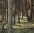 Число обращений россиян после укусов клещей резко выросло - Pln-Pskov.Ru