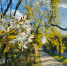 Фото: ПАИ - InformPskov.Ru