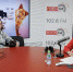 «Зверьё моё»: Всё о французских бульдогах. ВИДЕО - Pln-Pskov.Ru