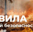 Информация для граждан о правилах пожарной безопасности на природе - Комитет по природным ресурсам и экологии