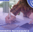 В Минфине рассказали о рисках для самозанятых при неуплате налогов - Бизнес-инкубатор