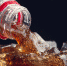 СМИ: Coca-Cola вновь регистрирует товарные знаки в России - Pln-Pskov.Ru