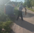 Собаку жестоко избили в Порховском районе - Псковская правда