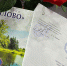 Выплату врачам за трудоустройство в санаторий «Хилово» увеличили до 1,5 млн рублей - Pln-Pskov.Ru