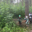 Соревнования по спорттуризму - InformPskov.Ru