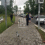 Два автомобиля столкнулись на улице Леона Поземского в Пскове - InformPskov.Ru