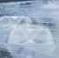 Два небольших фонтана украсят парк развлечений «Волшебная гора» в Пскове - Псковская правда