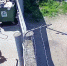 Петарду закинули на территорию псковского зооприюта  - Pln-Pskov.Ru