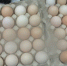 Продукцию из 14 стран мира пытались незаконно ввезти в Россию через госграницу в Псковской области - Pln-Pskov.Ru