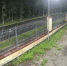 Полицейские сбили пешехода на «зебре» в Пскове - Pln-Pskov.Ru
