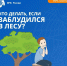 Правила    поведения в лесу - МЧС Псковской области