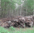 Щепки летят - Pln-Pskov.Ru