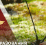 Специалисты подразделений связи Росгвардии отмечают профессиональный праздник - Росгвардия