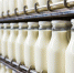 Псковская фирма легализовала опасную молочную продукцию, часть которой отправили в ЛНР - Pln-Pskov.Ru