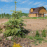 Фото: ПАИ / Анастасия Тарасова - InformPskov.Ru