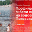 Начинается видеотрансляция онлайн-брифинга по профилактике гибели людей на водоемах - Pln-Pskov.Ru