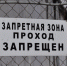 Мигранты в Артеме, чтобы избежать выдворения из России, напали на полицейских - Pskov.Sm.News