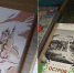 Книжную выставку и просветительскую программу подготовили в «Михайловском» к 80-летию региона - Pln-Pskov.Ru