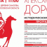 Опубликована программа исторического конного шоу «Александрова дорога» в Самолве - Pln-Pskov.Ru