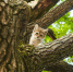 Фото: ПАИ - InformPskov.Ru