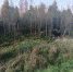 Мать и маленький ребенок пострадали в ДТП в Великолукском районе - Pln-Pskov.Ru