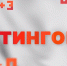 Рейтингомер: «Дело Грацкого» в суде, проклятые долгострои и суповой рекорд. ВИДЕО - Pln-Pskov.Ru