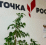«Точка роста» открылась в Букровской школе Великолукского района - Pln-Pskov.Ru