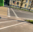 Велодорожки на улице Яна Фабрициуса еще не готовы — администрация Пскова - Pln-Pskov.Ru
