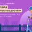 Стартовала Всероссийская школьная онлайн-олимпиада «Безопасные дороги» - Псковская правда