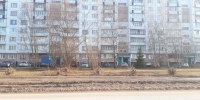 Около 100 аварийных деревьев спилили в этом году в Пскове - Псковская правда