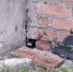 Фото Нины Суздалевой - InformPskov.Ru