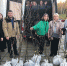 Молодые липы из «Михайловского» посадят на родине легендарного Гейченко - Pln-Pskov.Ru