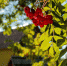 Фото Изборского музея - InformPskov.Ru