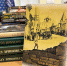 Семейная пара передала полсотни книг для сельских библиотек Псковской области - Pln-Pskov.Ru