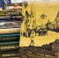 Семейная пара передала полсотни книг для сельских библиотек Псковской области - Единая Россия